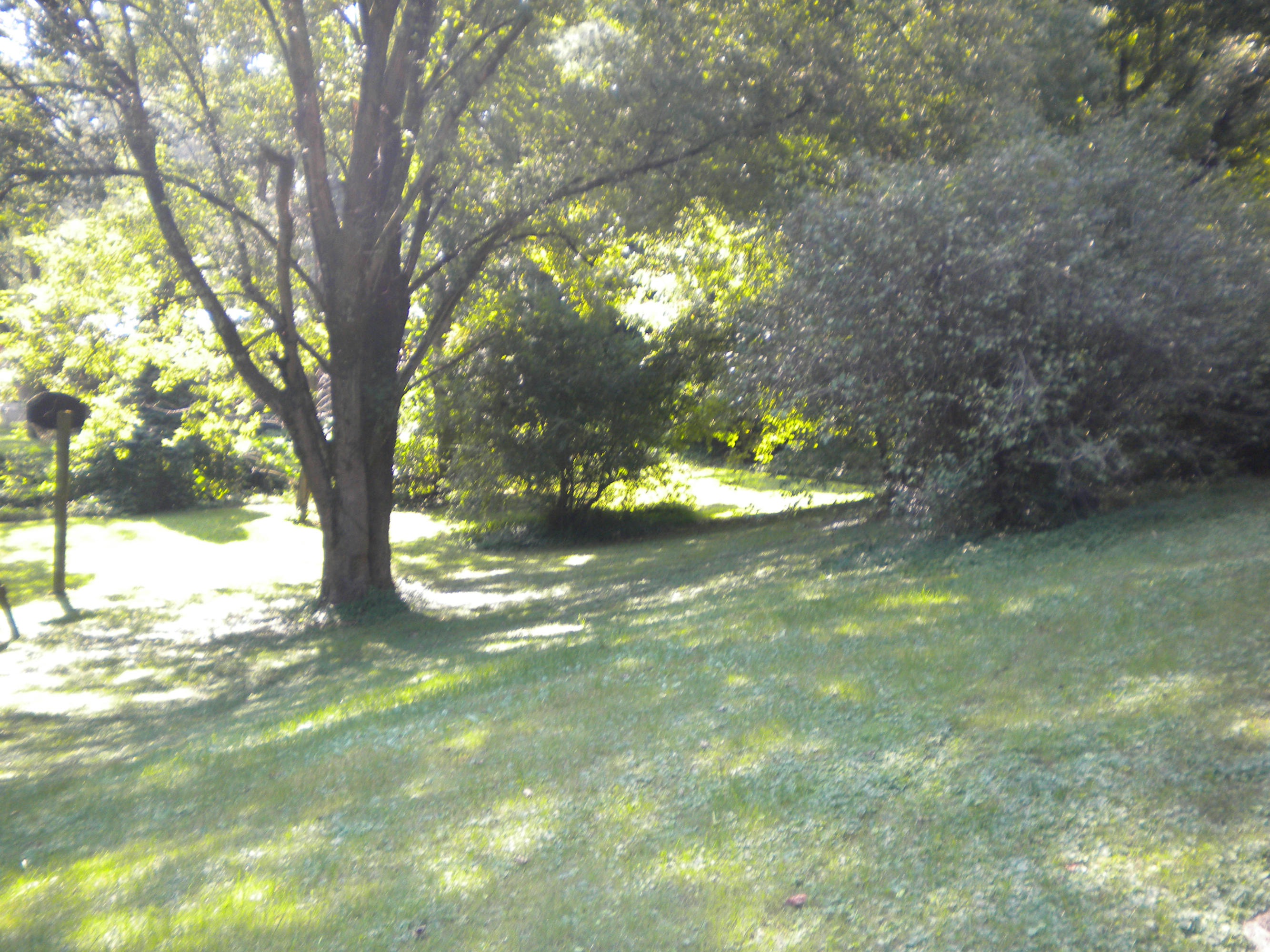 1661 Dupont Road Seymour, TN 37865 - Photo 15 of 17 sept25 020