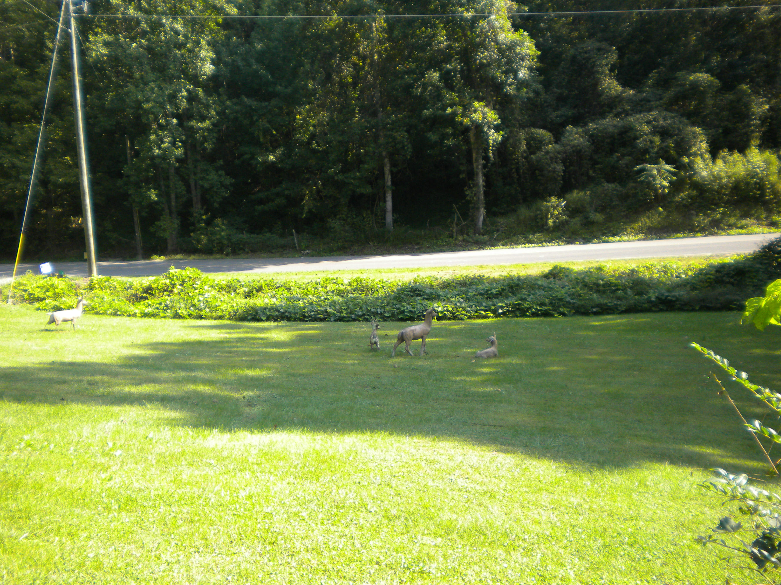 1661 Dupont Road Seymour, TN 37865 - Photo 16 of 17 sept25 021