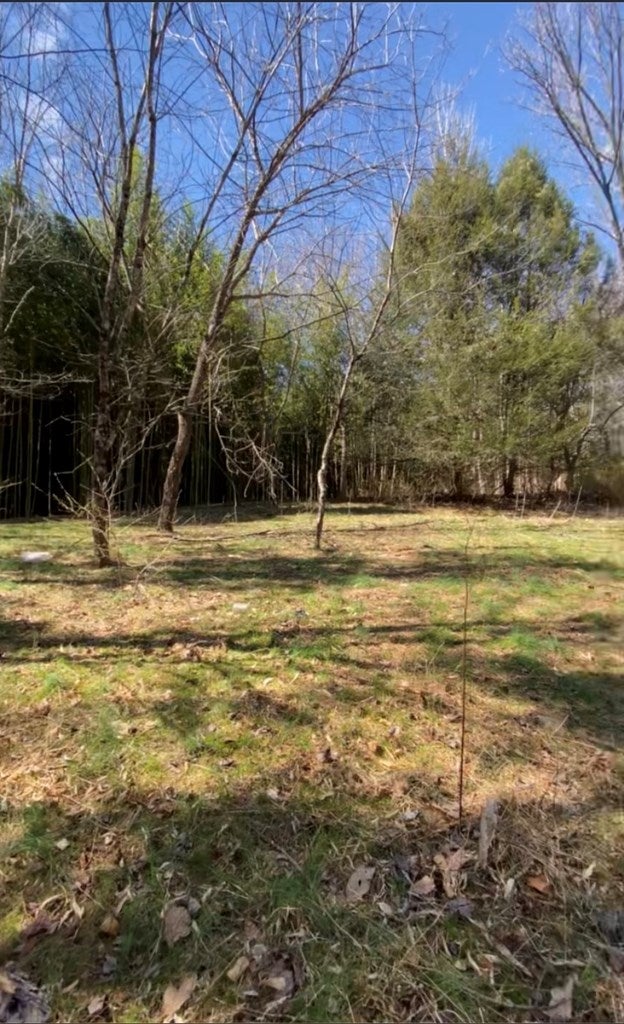 Tbd Ahart Ridge Road Ararat, VA 24053 - Photo 7 of 27 Gallery Image 7