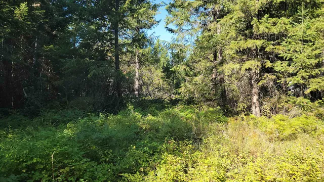 $110,000 | 612 Overlook Drive, Newport, WA 99156