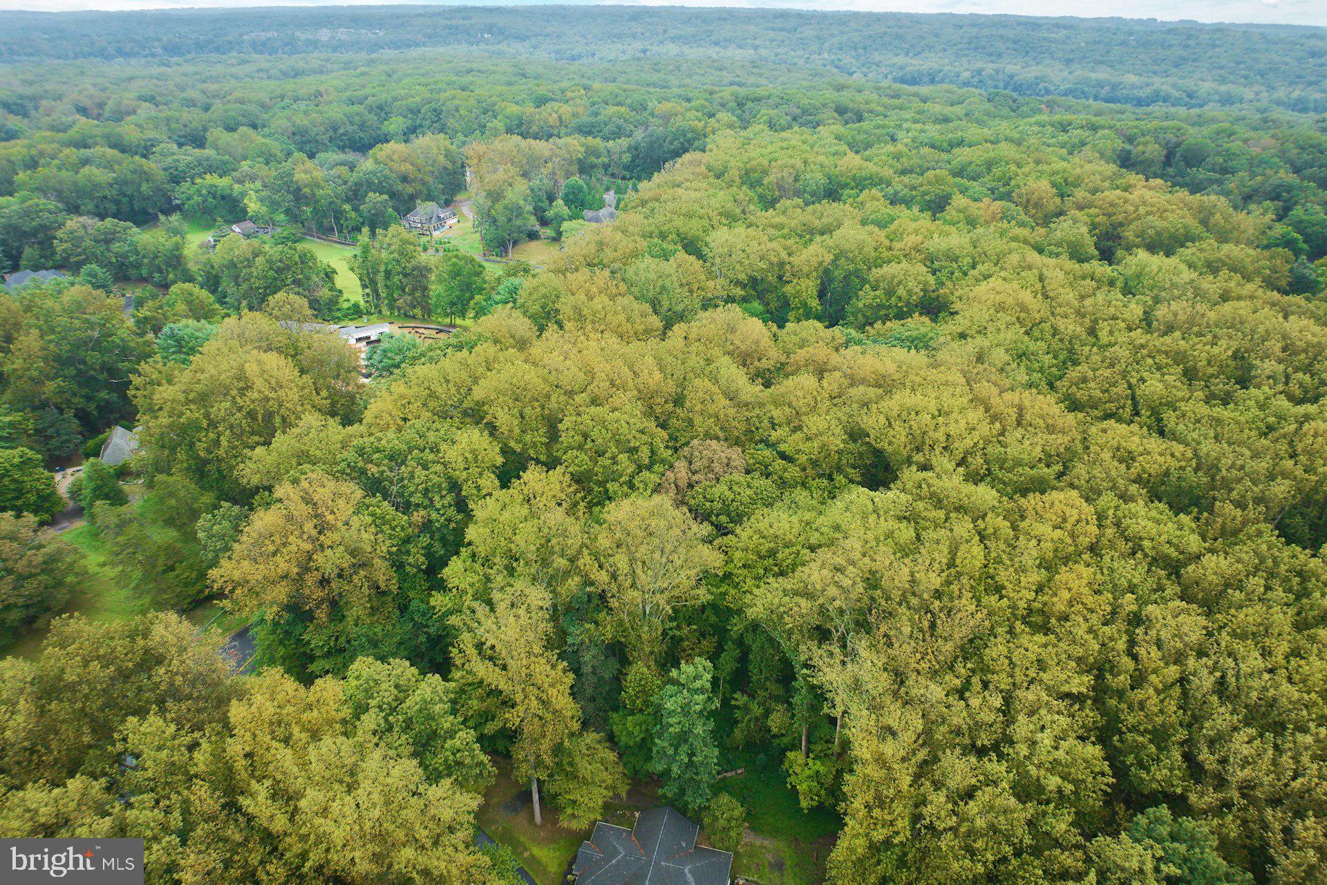 9113 Jeffery Road Great Falls, VA 22066 - Photo 11 of 31 a view of a field of grass and trees
