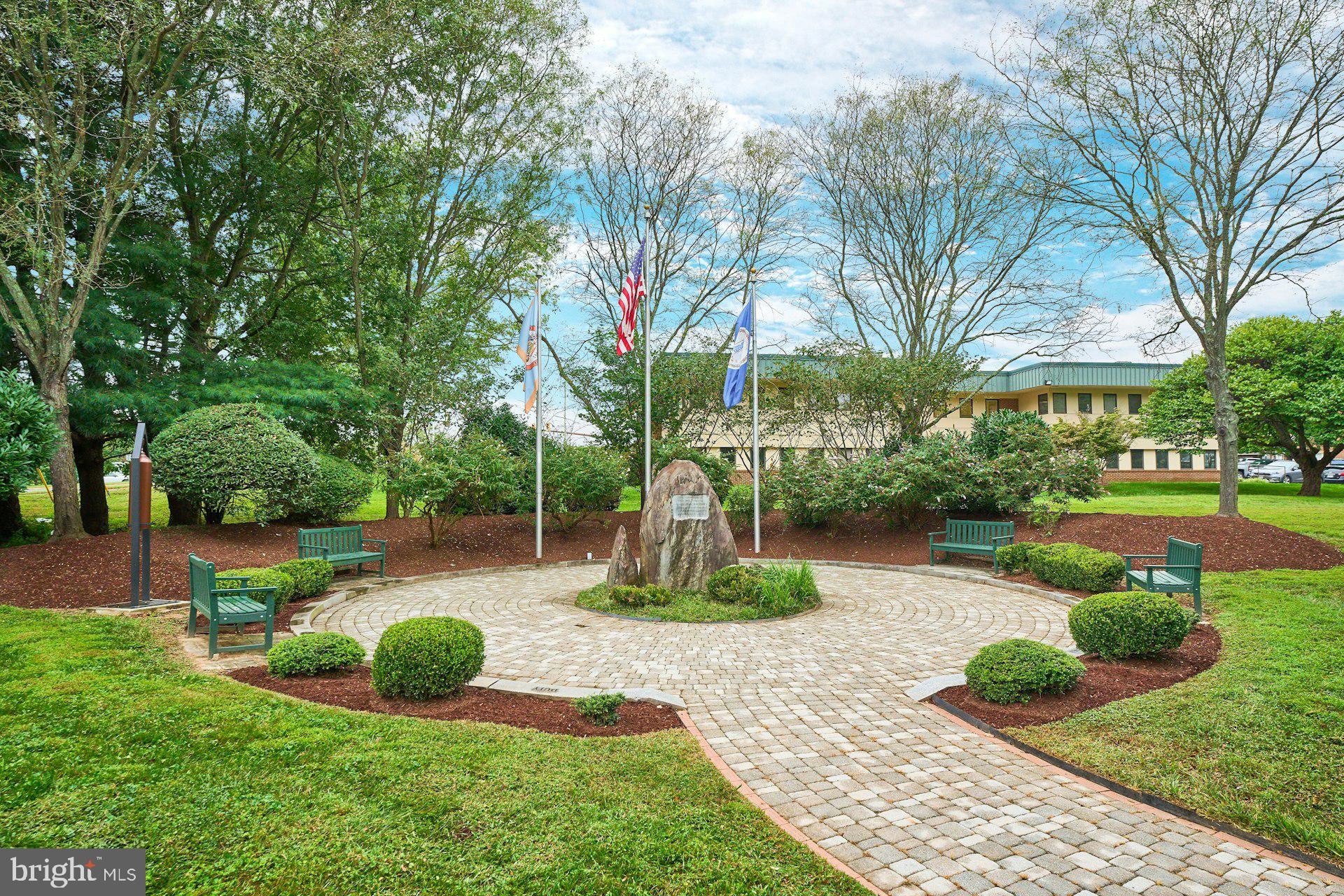 9113 Jeffery Road Great Falls, VA 22066 - Photo 27 of 31 a view of a garden with plants and large trees