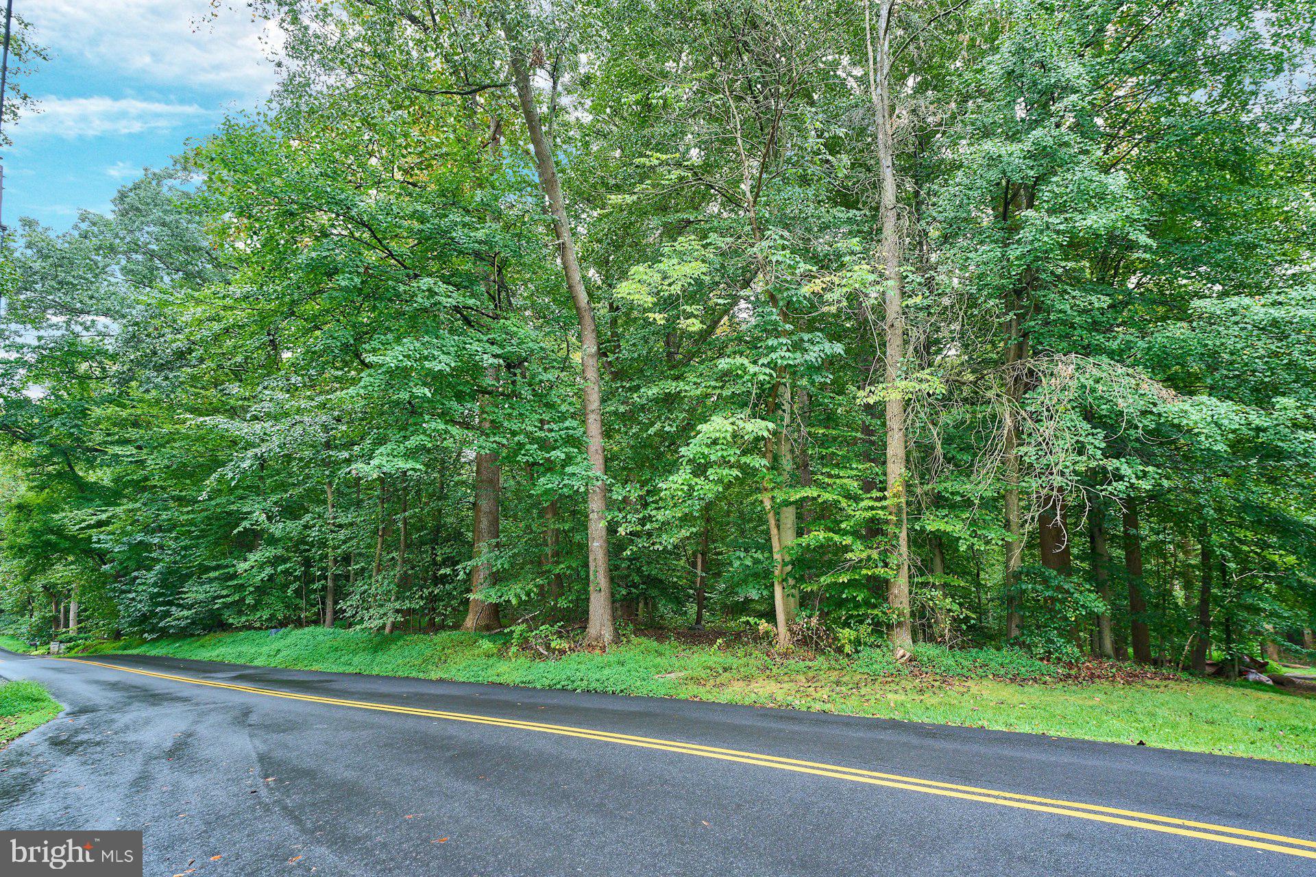 9113 Jeffery Road Great Falls, VA 22066 - Photo 4 of 31 a view of a park
