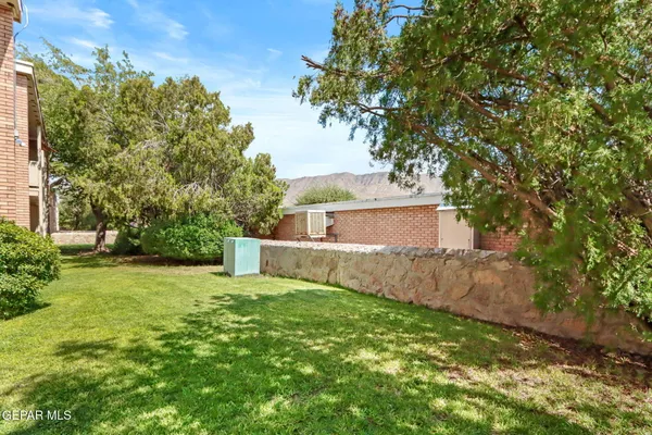 a view of a backyard