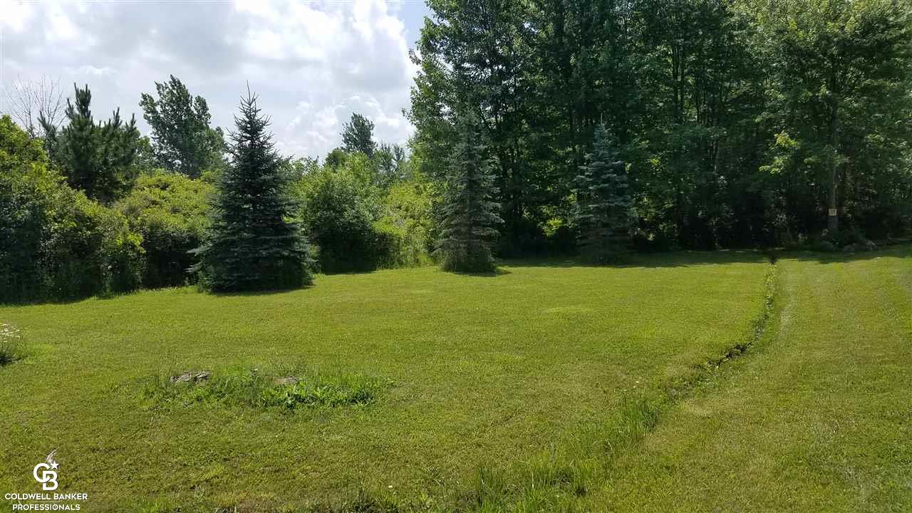 9475 Brandon Road Avoca, MI 48006 - Photo 42 of 44 This is a view from the street.