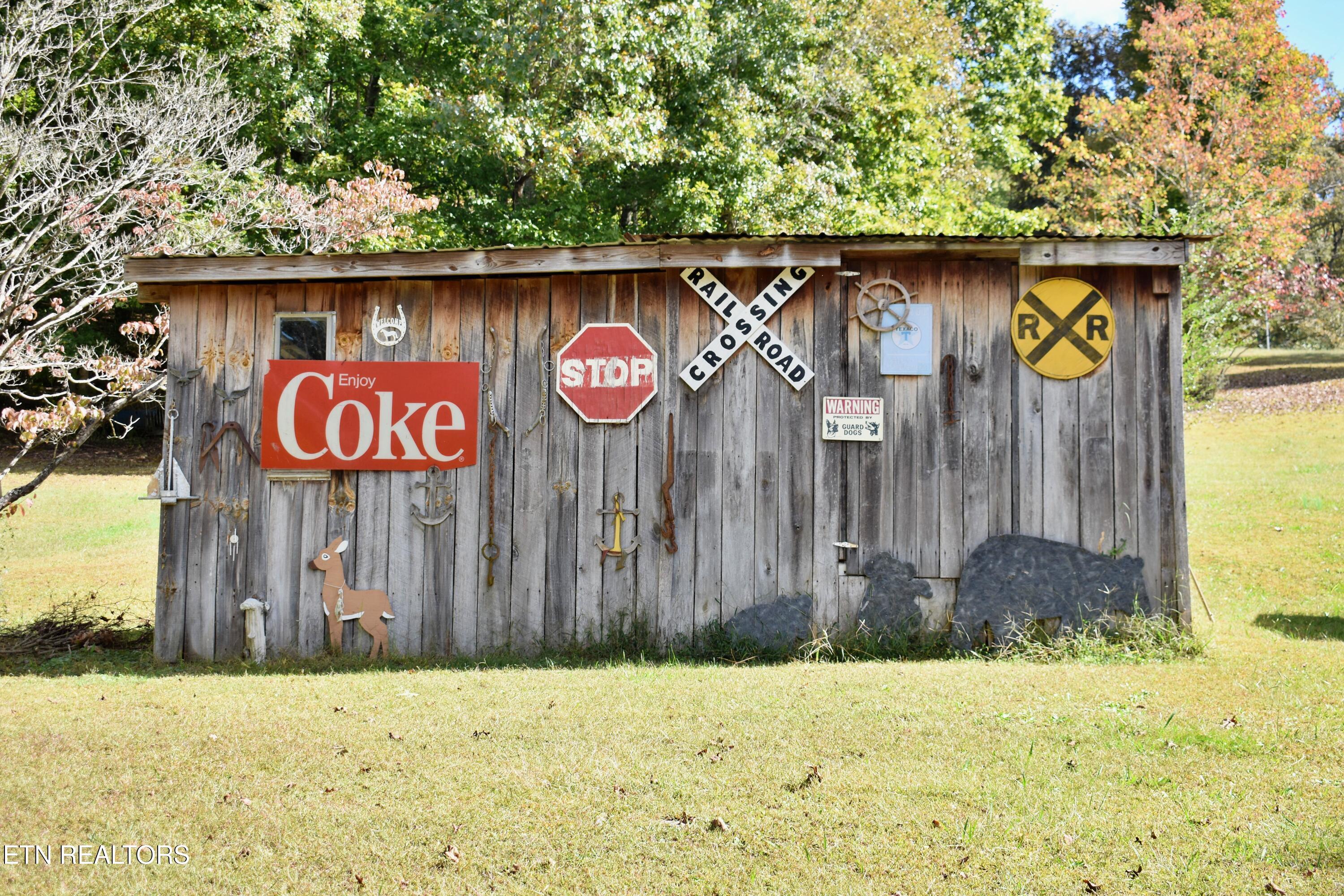 5780 Toestring Valley Road Spring City, TN 37381 - Photo 25 of 37 DSC_0261