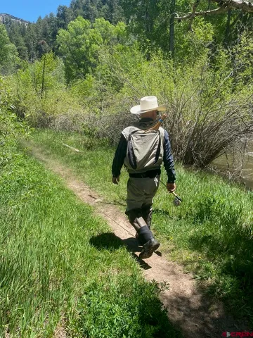 a view of a small yard