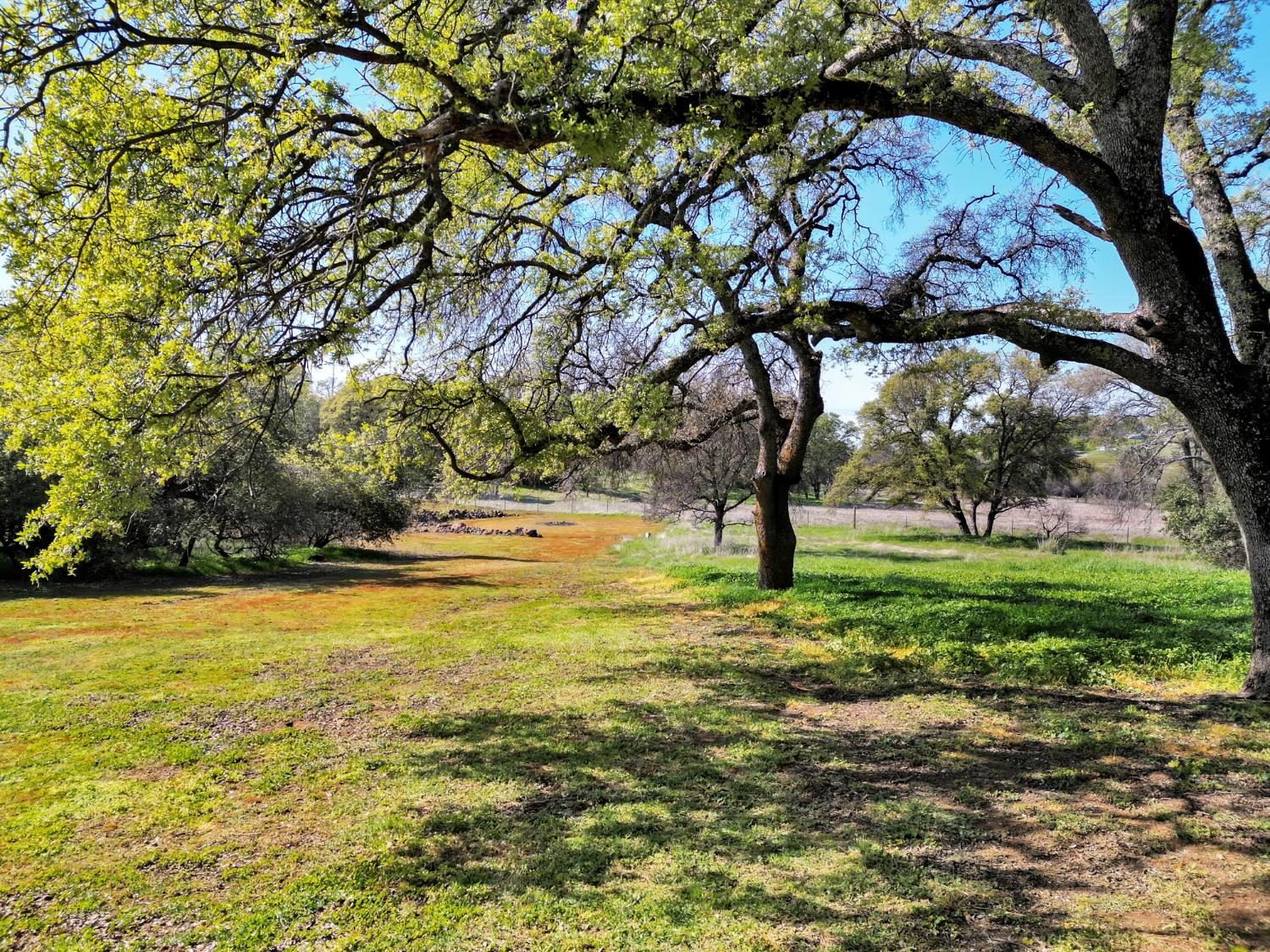 19890 Perimeter Road Grass Valley, CA 95949 - Photo 86 of 95