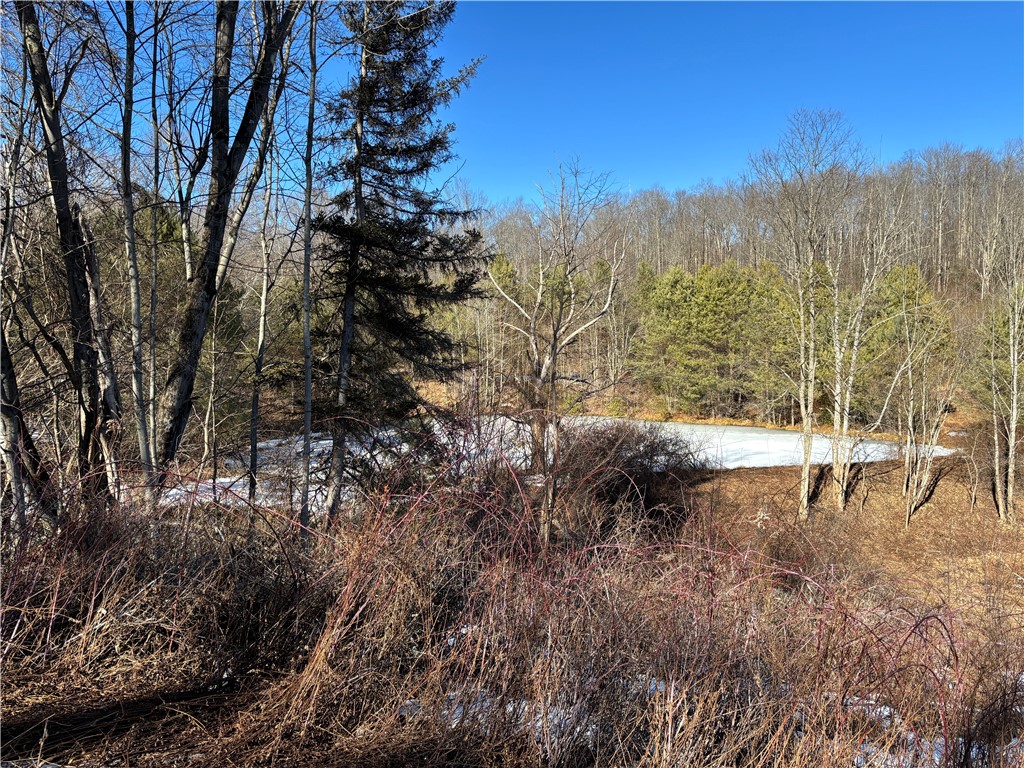 793 West Joseph Road St. Marys, PA 15857 - Photo 1 of 30