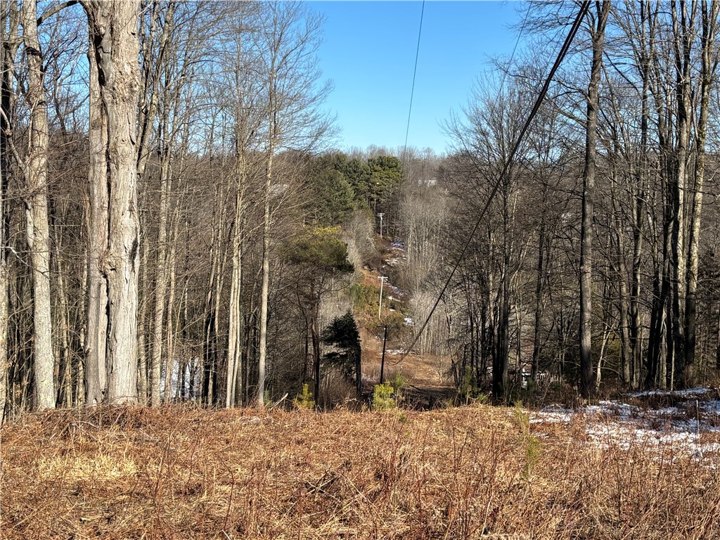 793 West Joseph Road St. Marys, PA 15857 - Photo 13 of 30