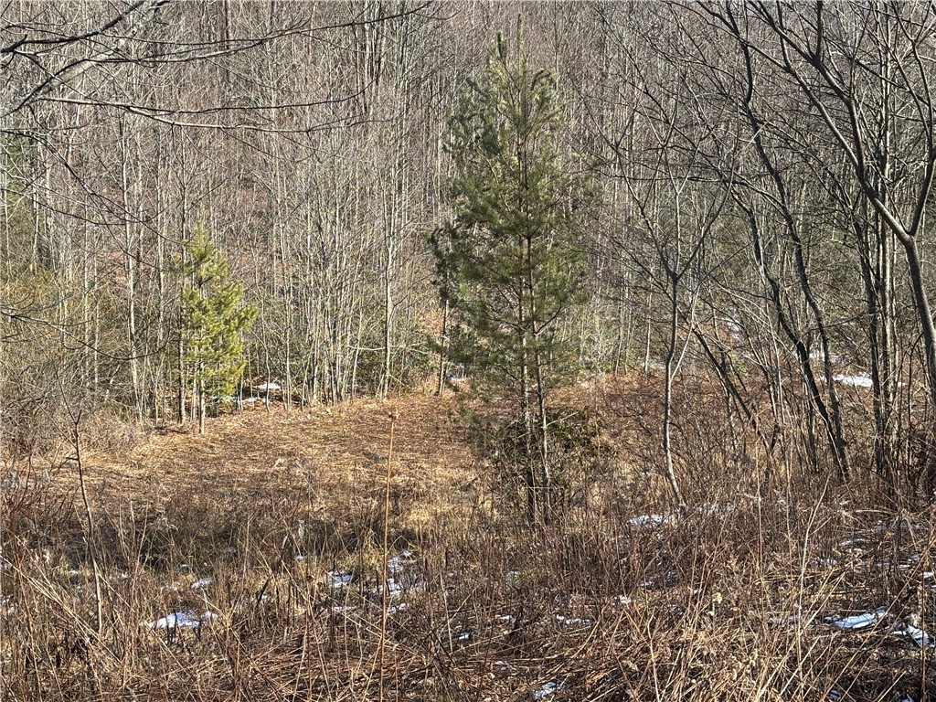 793 West Joseph Road St. Marys, PA 15857 - Photo 18 of 30