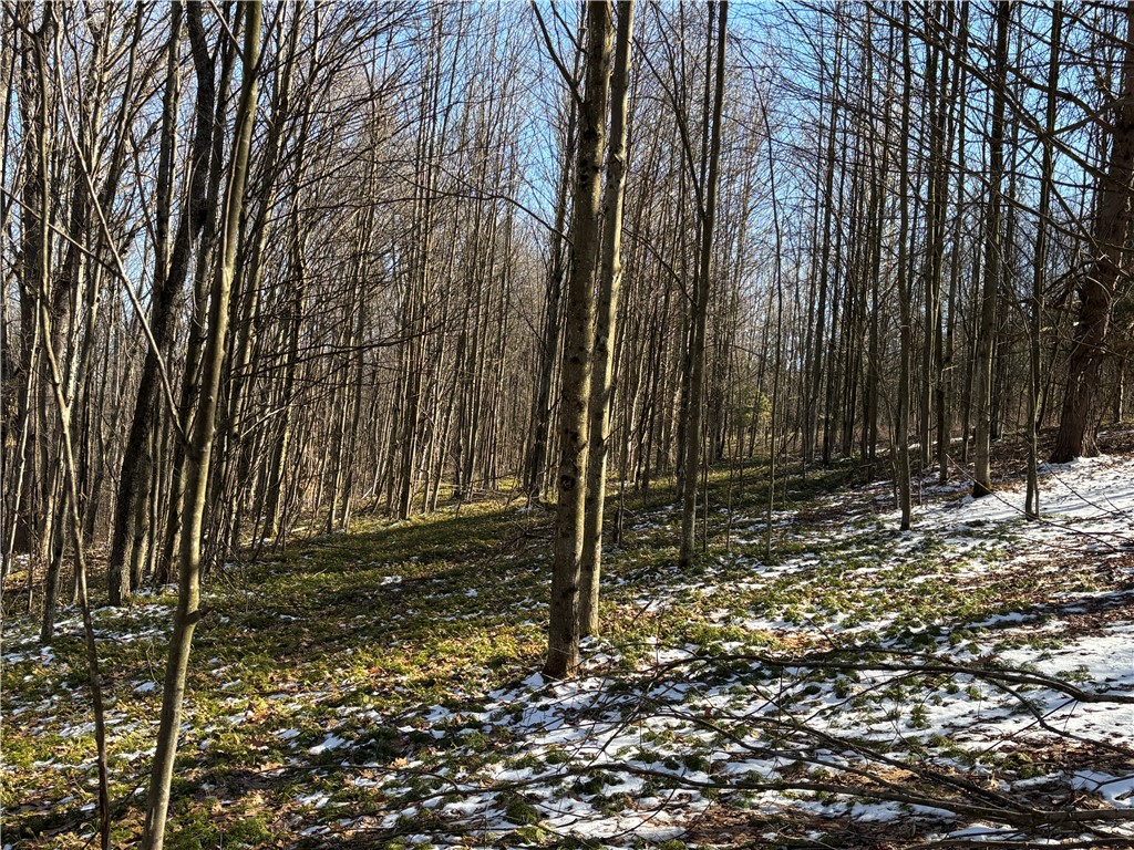 793 West Joseph Road St. Marys, PA 15857 - Photo 19 of 30