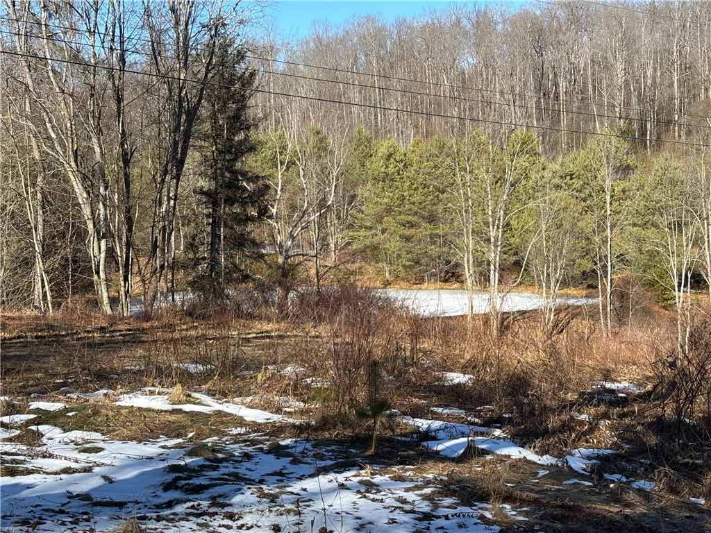 793 West Joseph Road St. Marys, PA 15857 - Photo 2 of 30