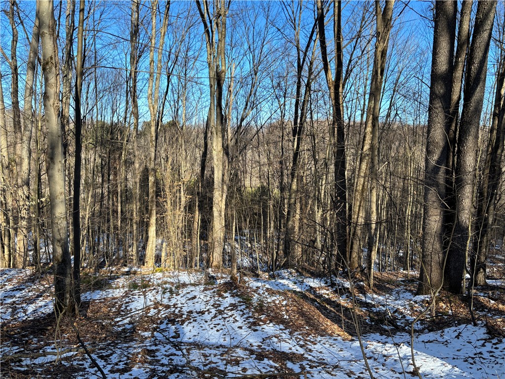 793 West Joseph Road St. Marys, PA 15857 - Photo 24 of 30