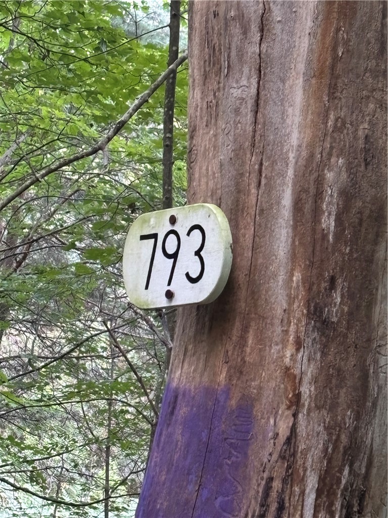 793 West Joseph Road St. Marys, PA 15857 - Photo 28 of 30