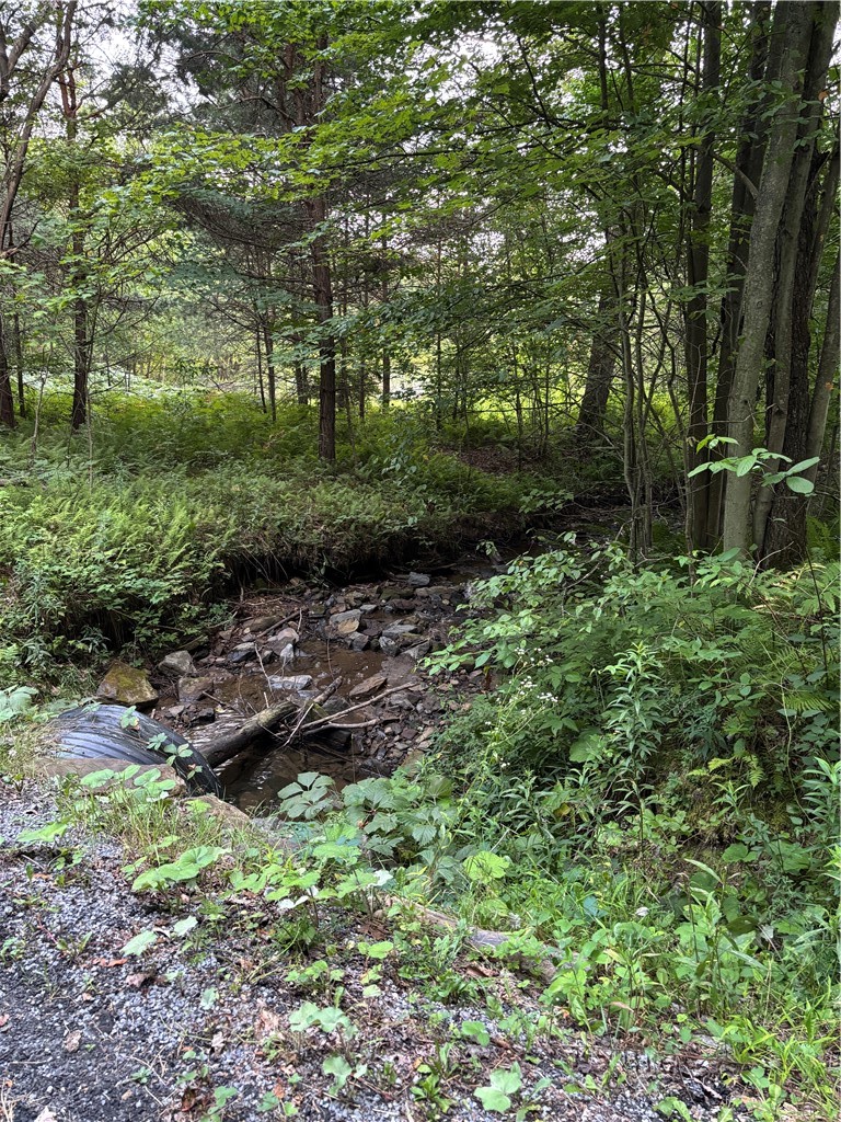 793 West Joseph Road St. Marys, PA 15857 - Photo 29 of 30