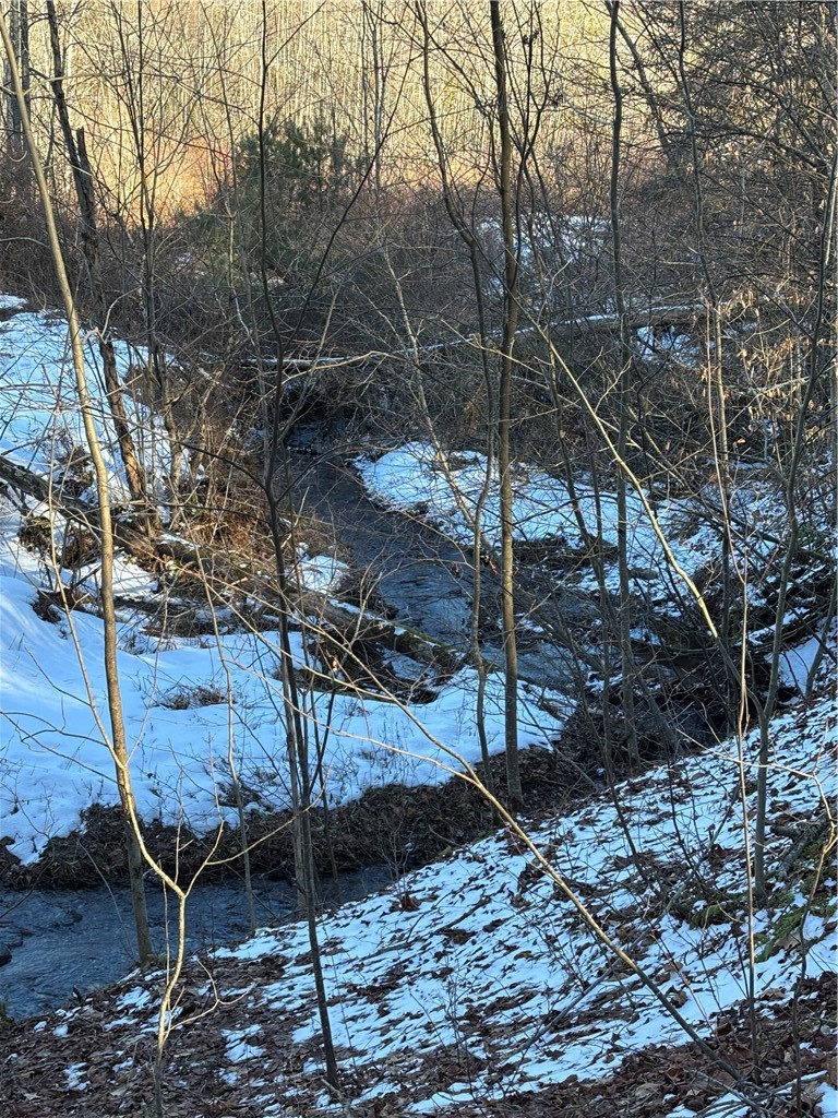 793 West Joseph Road St. Marys, PA 15857 - Photo 3 of 30