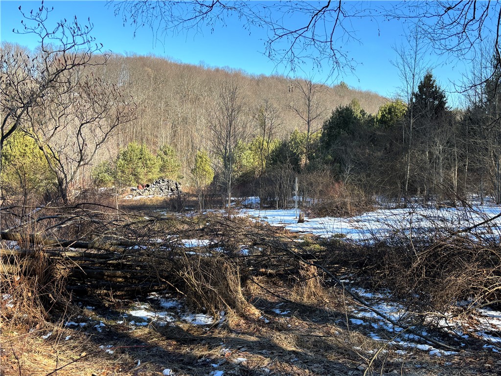 793 West Joseph Road St. Marys, PA 15857 - Photo 7 of 30