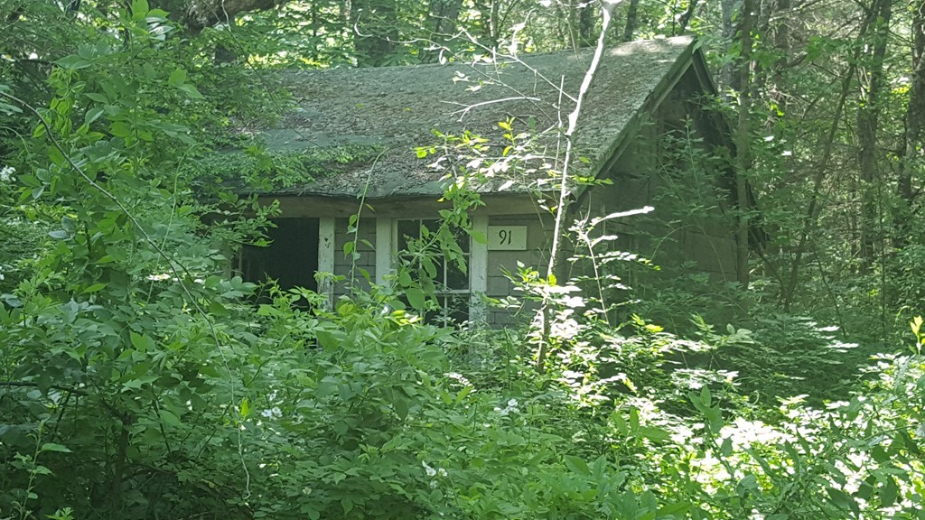 91 Miner Road Hardwick, MA 01082 - Photo 4 of 7 Gallery Image 4