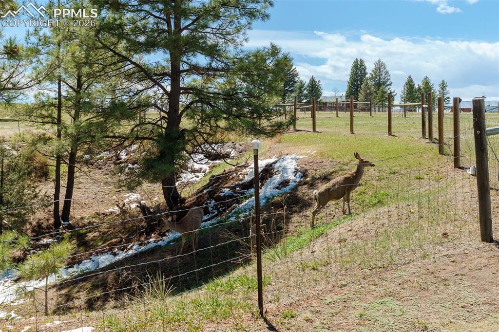 1851 Buttercup Road Elizabeth, CO 80107 - Photo 45 of 47 a view of swimming pool with a bench and trees in the background