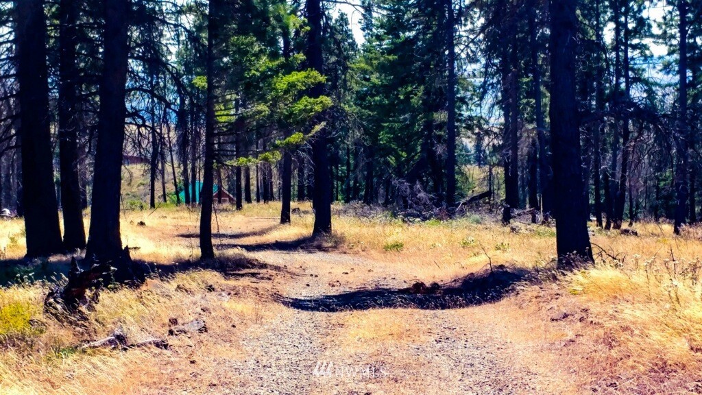 3200 Hidden Valley Road Cle Elum, WA 98922 - Photo 6 of 13 Gallery Image 6