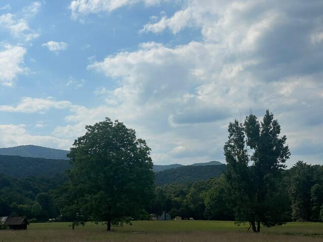 6310 Jackson River Road Hot Springs, VA 24445 - Photo 3 of 17 IMG_8277