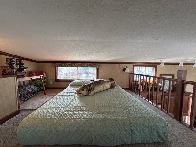 2795 East 28th Road Marseilles, IL 61341 - Photo 23 of 78