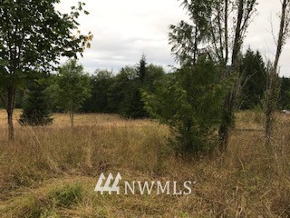4850 Lost Mountain Road Sequim, WA 98382 - Photo 1 of 13 Gallery Image 1