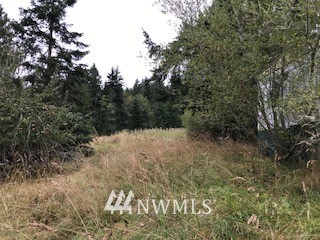 4850 Lost Mountain Road Sequim, WA 98382 - Photo 4 of 13 Gallery Image 4