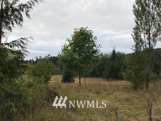 4850 Lost Mountain Road Sequim, WA 98382 - Photo 7 of 13 Gallery Image 7