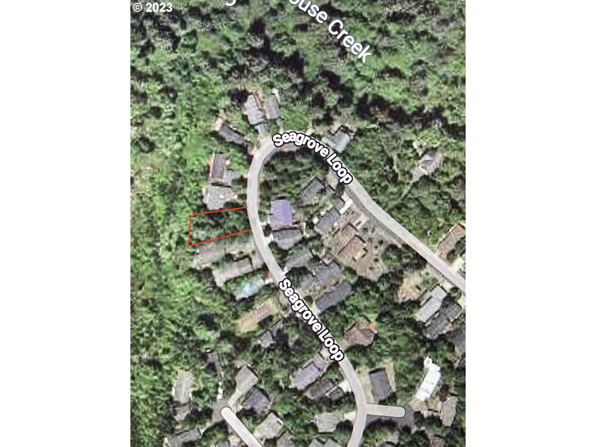 Seagrove Loop Lincoln City, OR 97367 - Photo 4 of 10 a picture of a tree