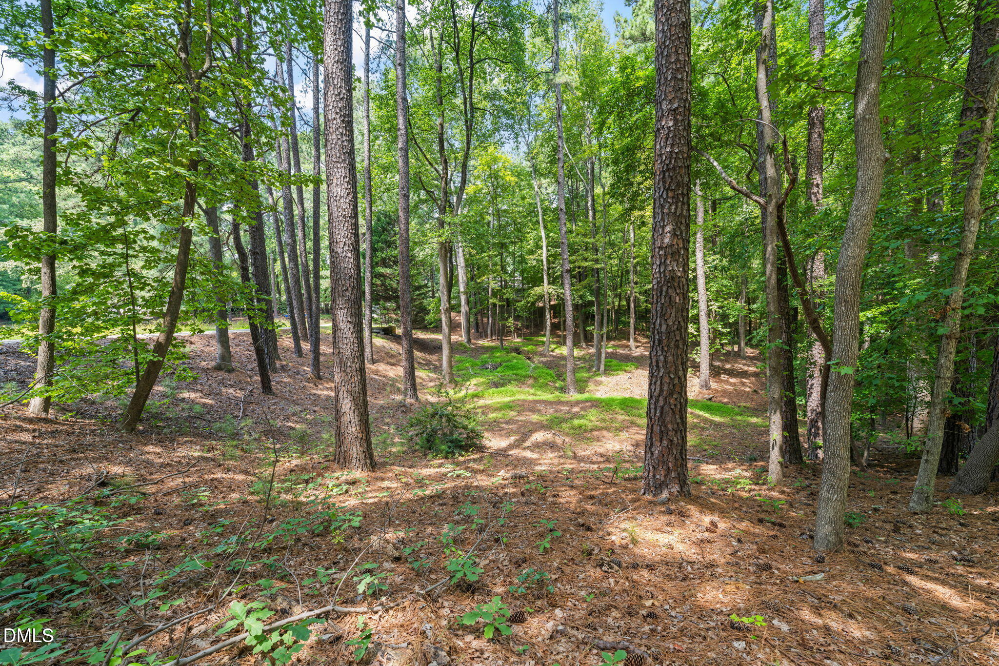 1401 Trinity Circle Raleigh, NC 27607 - Photo 86 of 91 Yard