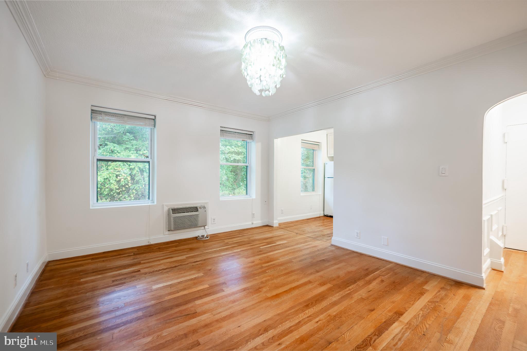 3719 12th Street Northeast, Unit 209 Washington, DC 20017 - Photo 4 of 24 Living room with nature views.