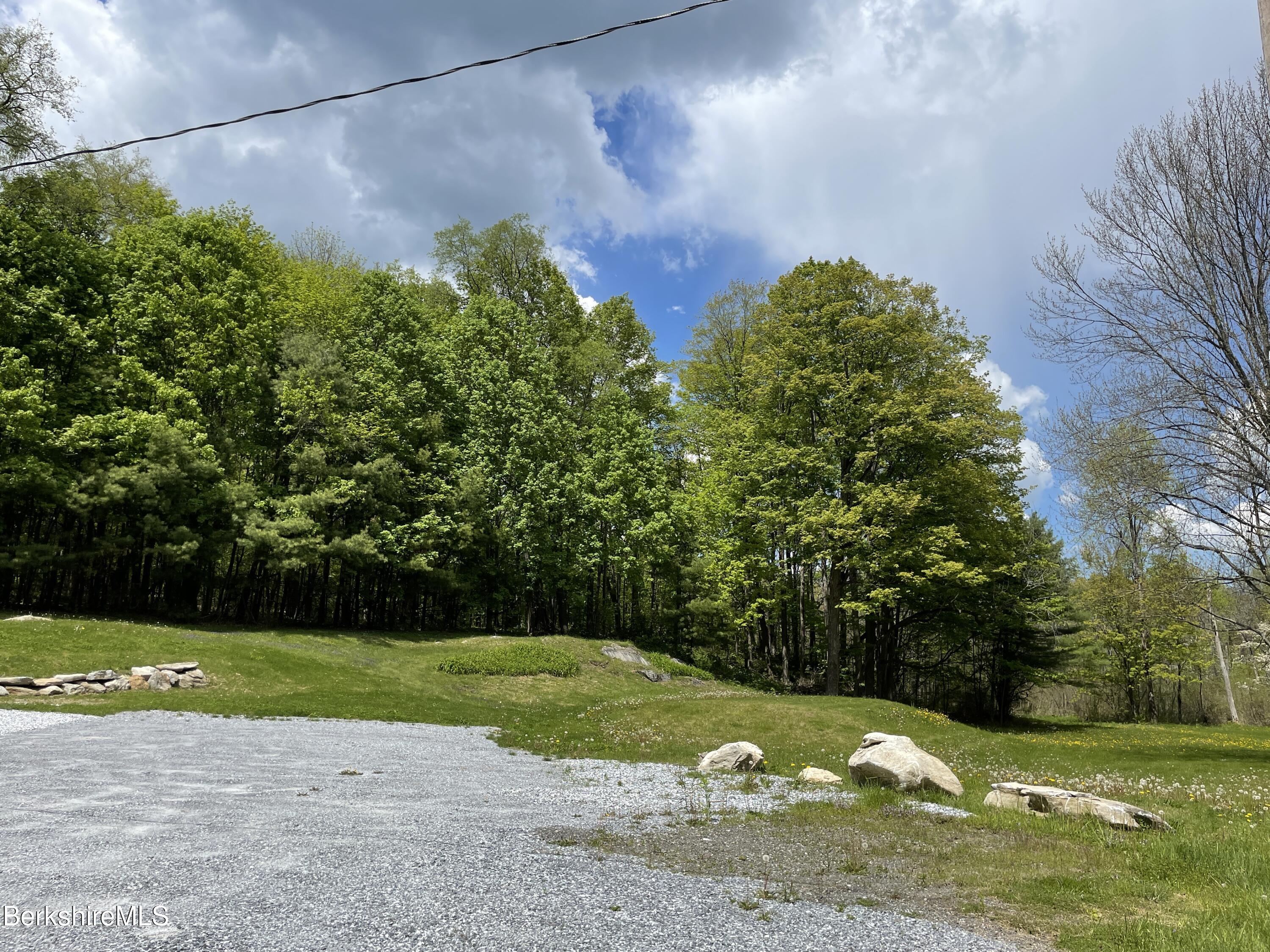660 State Road Richmond, MA 01254 - Photo 12 of 15 a view of a yard with plants and large trees