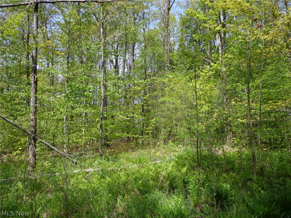 11460 Clark Road Chardon, OH 44024 - Photo 6 of 8