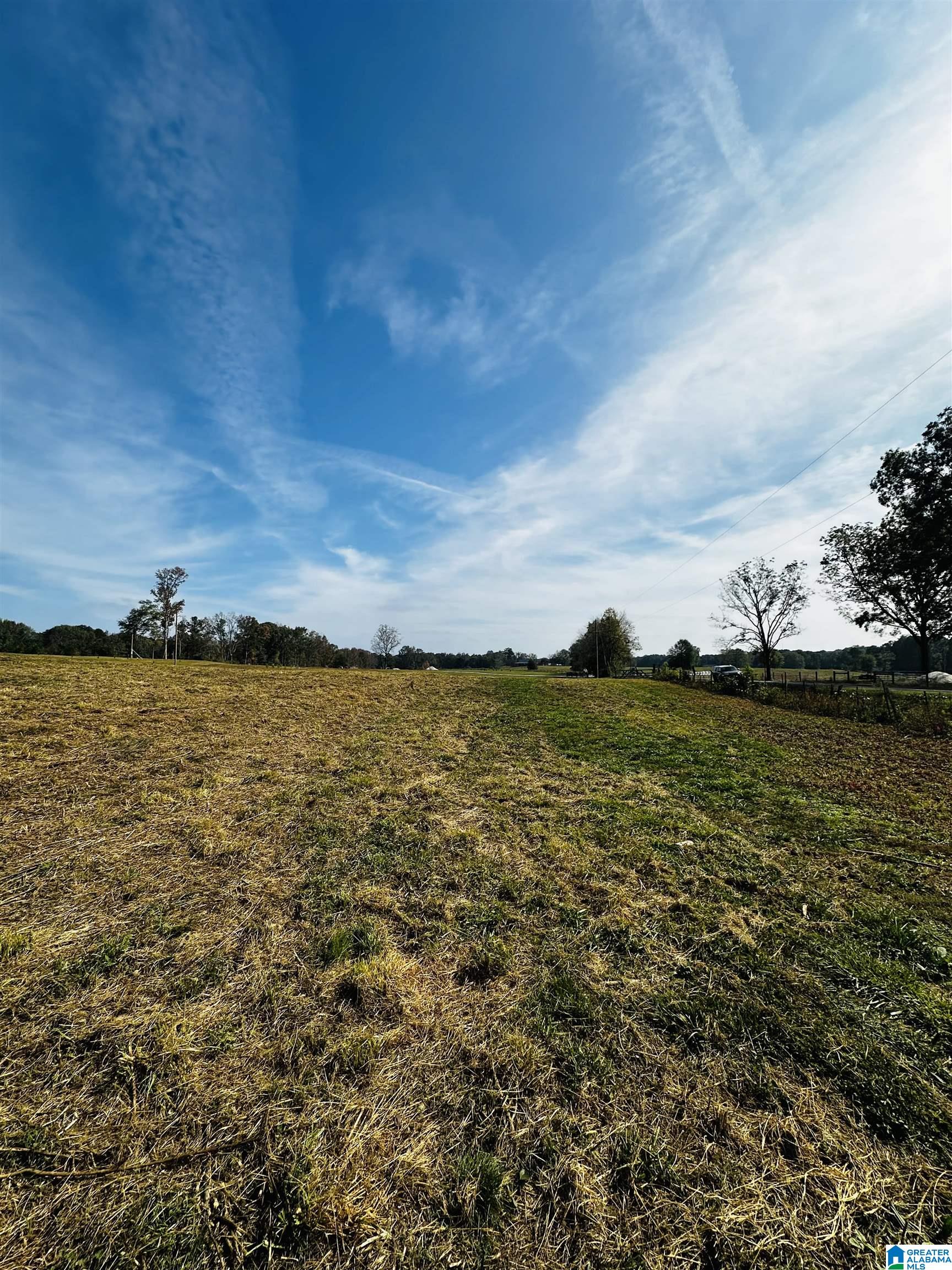 1721 McVey Road Lineville, AL 36266 - Photo 10 of 12