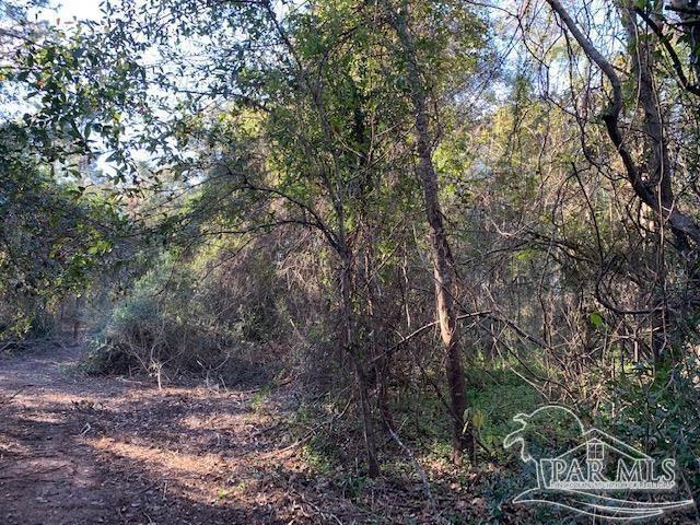 433 Garcon Point Road Milton, FL 32583 - Photo 4 of 8 Gallery Image 4