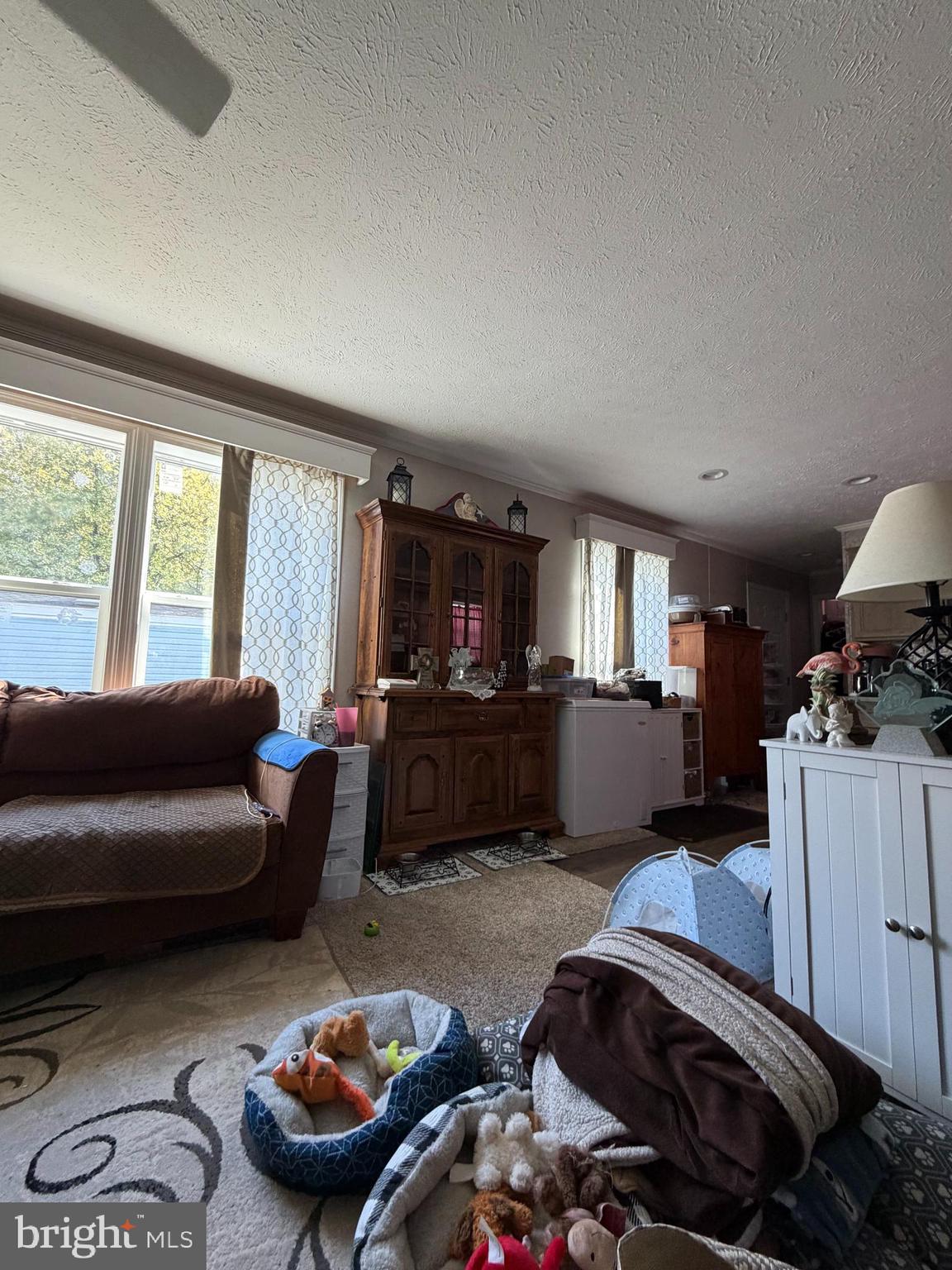 4 Roth Avenue Mertztown, PA 19539 - Photo 13 of 14 a living room with furniture and a window