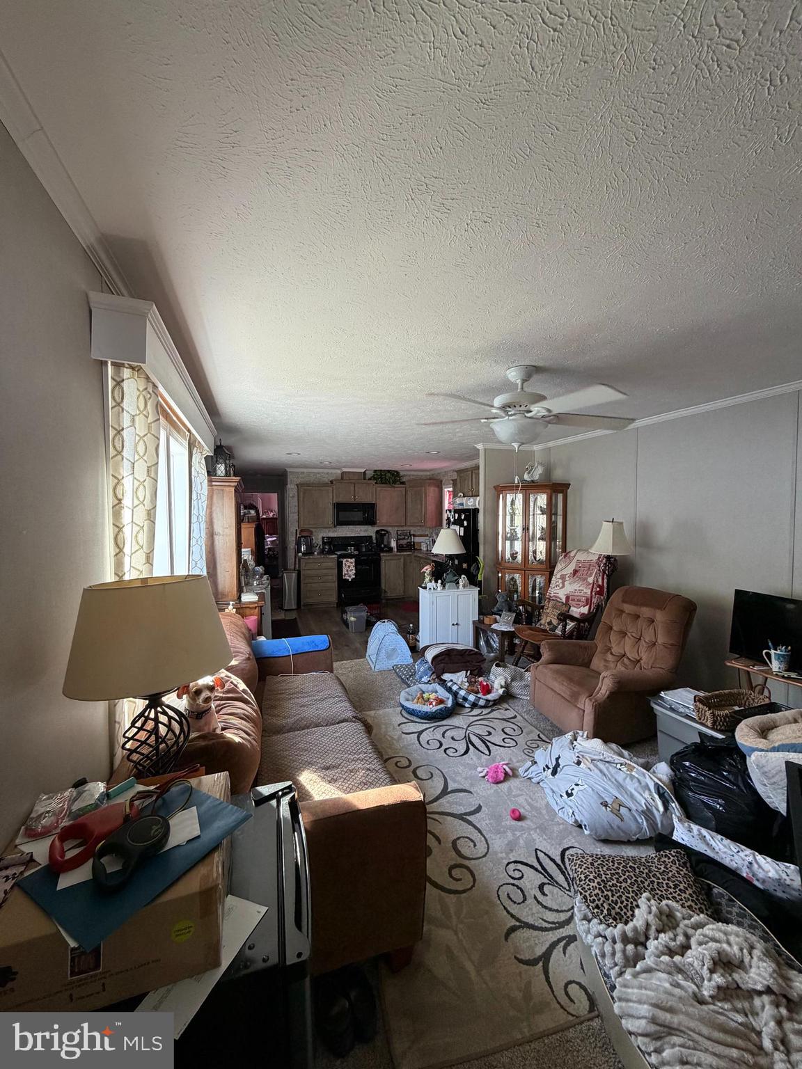 4 Roth Avenue Mertztown, PA 19539 - Photo 14 of 14 a living room with furniture