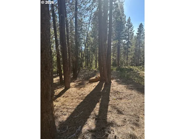 a view of a pathway of a yard