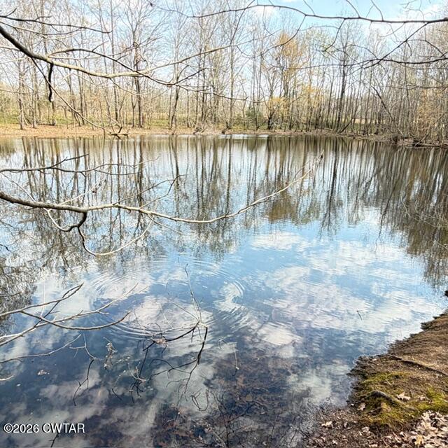 0 Bobbitt Road Medina, TN 38355 - Photo 13 of 39 IMG_6302