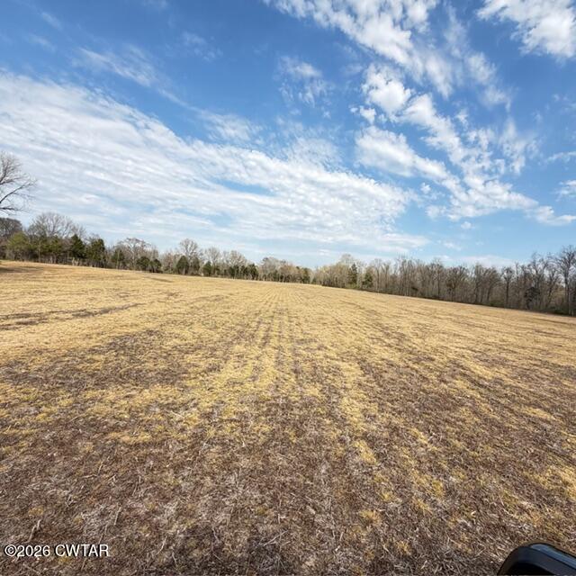 0 Bobbitt Road Medina, TN 38355 - Photo 14 of 39 IMG_6309