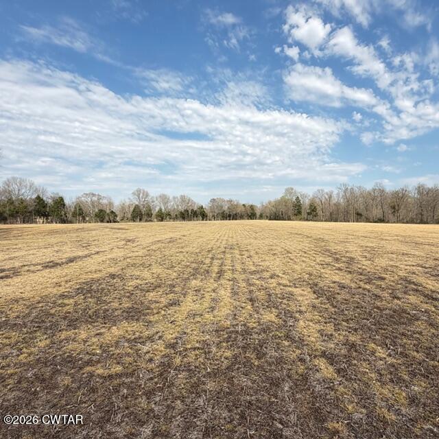 0 Bobbitt Road Medina, TN 38355 - Photo 16 of 39 IMG_6305