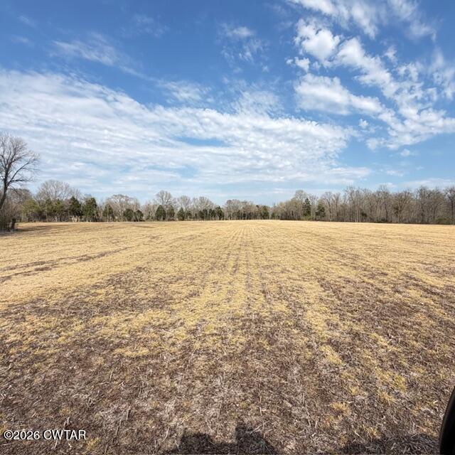 0 Bobbitt Road Medina, TN 38355 - Photo 17 of 39 IMG_6304