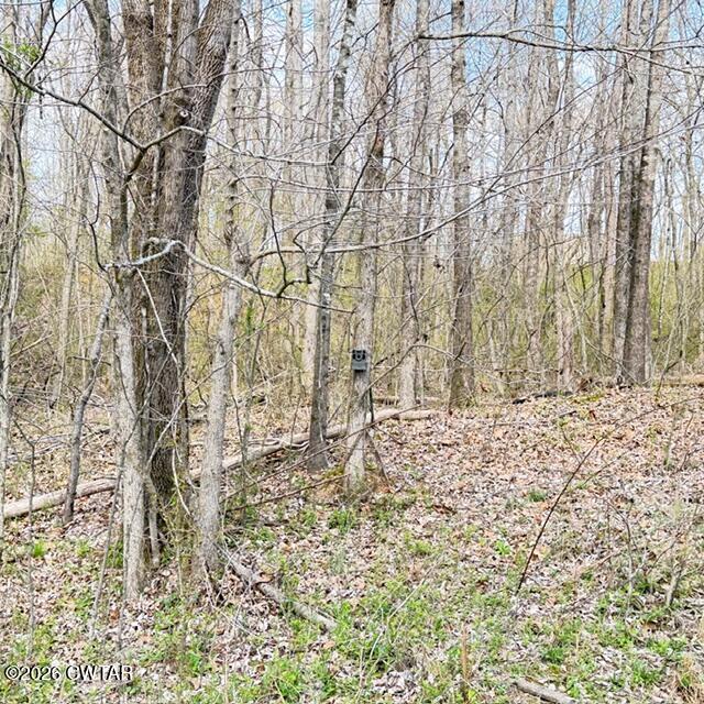 0 Bobbitt Road Medina, TN 38355 - Photo 18 of 39 IMG_6228