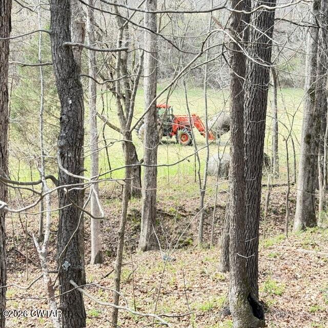 0 Bobbitt Road Medina, TN 38355 - Photo 19 of 39 IMG_6299