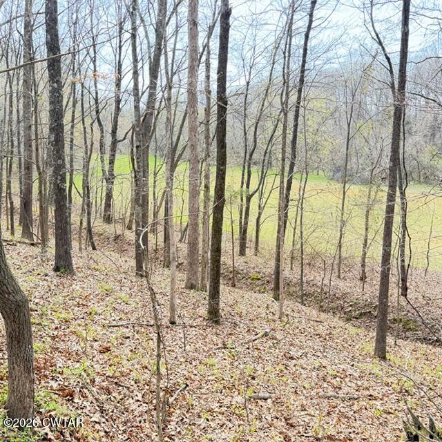 0 Bobbitt Road Medina, TN 38355 - Photo 20 of 39 IMG_6300