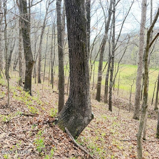 0 Bobbitt Road Medina, TN 38355 - Photo 21 of 39 IMG_6301