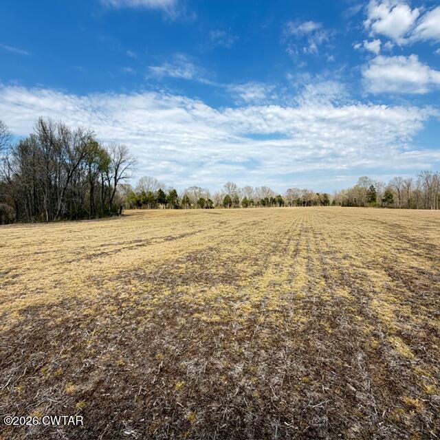 0 Bobbitt Road Medina, TN 38355 - Photo 22 of 39 IMG_6306