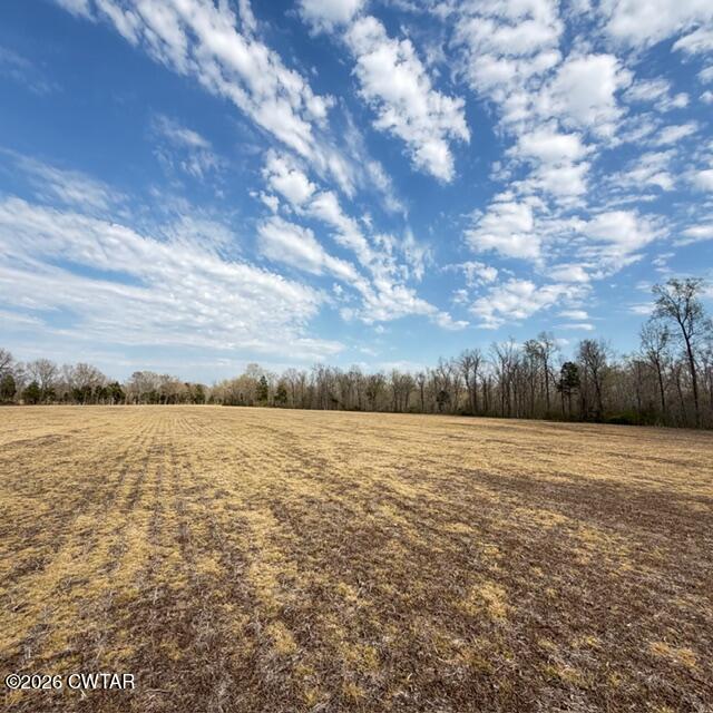 0 Bobbitt Road Medina, TN 38355 - Photo 23 of 39 IMG_6308
